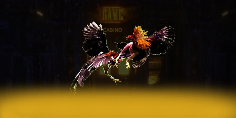 KUWIN - Sân chơi đang được quan tâm hàng đầu được yêu thích nhất – Khám phá sản phẩm hấp dẫn của KUWIN KUWIN - Sân chơi đang được quan tâm hàng đầu được yêu thích nhất – Khám phá sản phẩm hấp dẫn của KUWIN