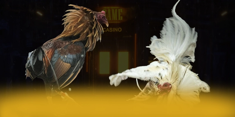 LC88 - Cổng game có quà tặng đặc biệt được yêu thích hàng đầu – Khám phá phần thưởng khủng từ LC88 LC88 - Cổng game có quà tặng đặc biệt được yêu thích hàng đầu – Khám phá phần thưởng khủng từ LC88