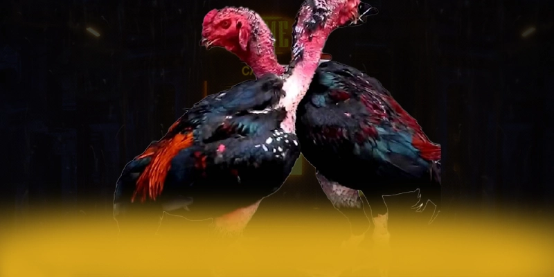 DAGA88 - Cổng trò chơi đang được quan tâm hàng đầu tại Việt Nam – Khám phá ngay các trò chơi tại DAGA88 DAGA88 - Cổng trò chơi đang được quan tâm hàng đầu tại Việt Nam – Khám phá ngay các trò chơi tại DAGA88