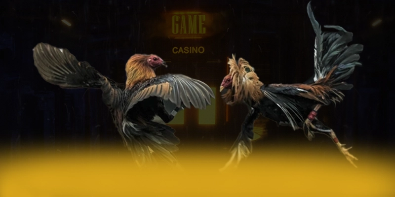 Trải nghiệm ĐÁ GÀ TRỰC TIẾP - Cổng game bài hàng đầu Việt Nam 2025
Trải nghiệm ĐÁ GÀ TRỰC TIẾP - Cổng game bài hàng đầu Việt Nam 2025