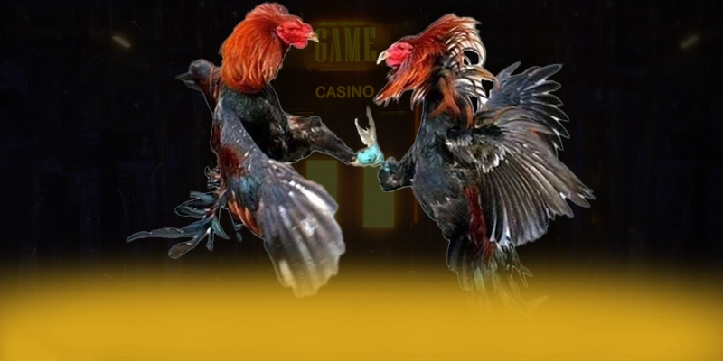 LC88 - Trang game minh bạch được người chơi tin dùng – Trải nghiệm LC88 LC88 - Trang game minh bạch được người chơi tin dùng – Trải nghiệm LC88