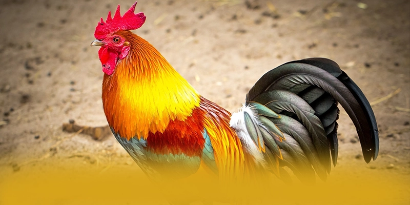 GA6789 - Thương hiệu đang làm mưa làm gió trên thị trường – Khám phá ngay các trò chơi tại GA6789