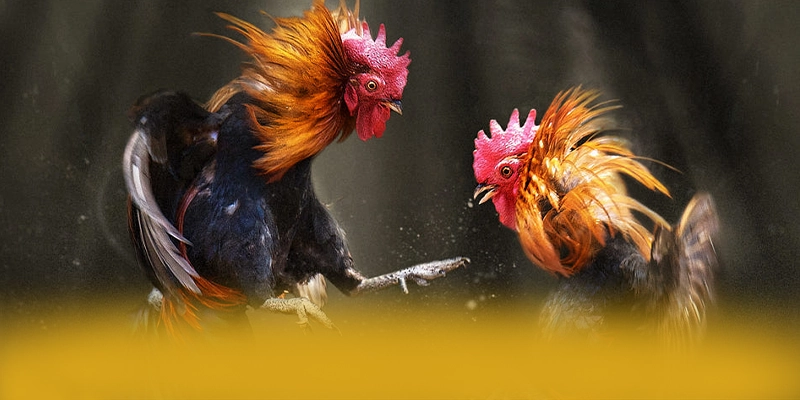 UU88 - Sảnh game quy tụ nhiều siêu phẩm hot hiện nay – Khám phá danh mục giải trí của UU88