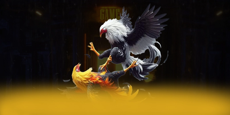 
Cập nhật thông tin về BL555 - Cổng game được đánh giá cao được cộng đồng đánh giá cao
