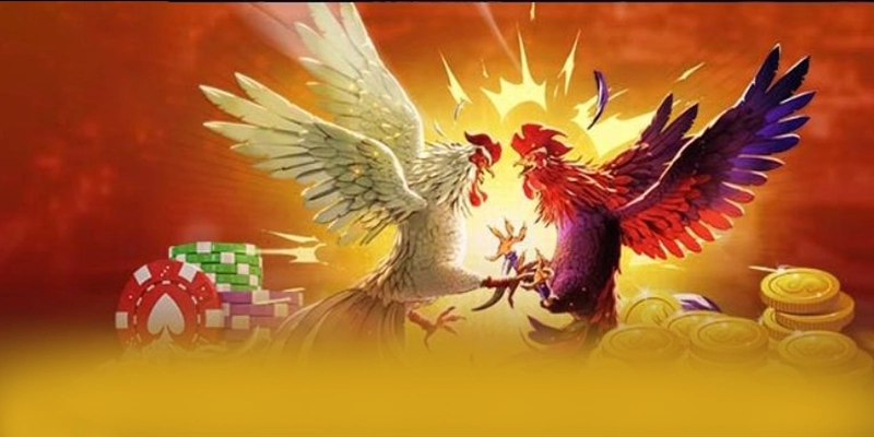 BL555 - Trang game hiệu năng vượt trội trên thị trường