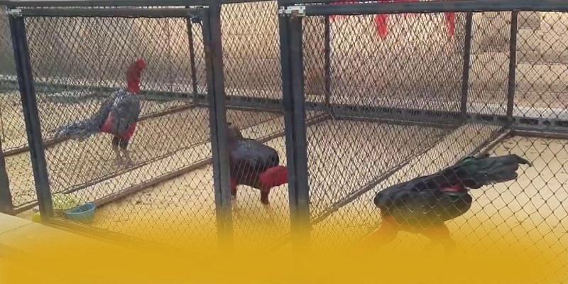 NK88 - Thương hiệu cung cấp hàng trăm tựa game đẳng cấp được game thủ lựa chọn – Khám phá top NK88