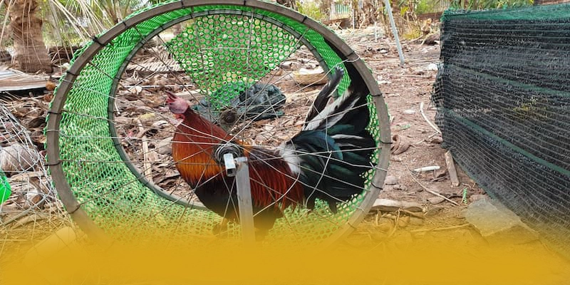 
Khám phá B52 - Cổng giải trí hàng đầu Việt Nam được quan tâm
