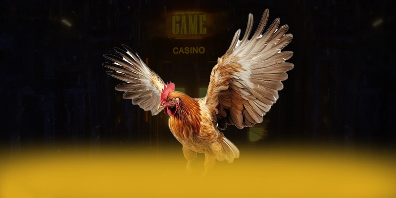 8XBET - Nhà cái sở hữu danh mục sản phẩm phong phú tại Việt Nam