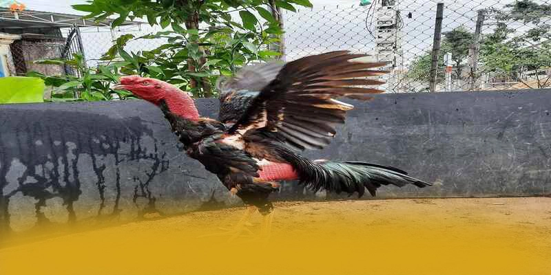 F8BET - Nhà cái có giấy phép quốc tế chuẩn mực quốc tế