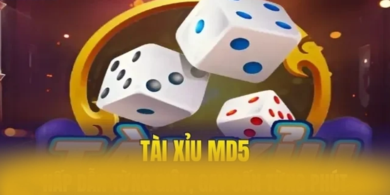 8XBET - Kết luận — Nhà cái hàng đầu xứng đáng thử nghiệm 8XBET - Kết luận — Nhà cái hàng đầu xứng đáng thử nghiệm