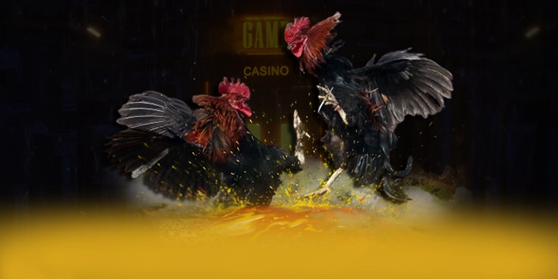 XO88 - Nhà cái có giấy phép quốc tế an toàn nhất